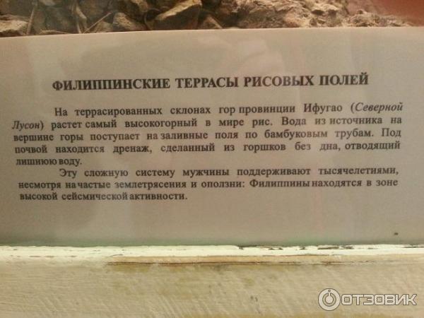 Музей антропологии и этнографии им. Петра Великого Кунсткамера РАН (Россия, Санкт-Петербург) фото