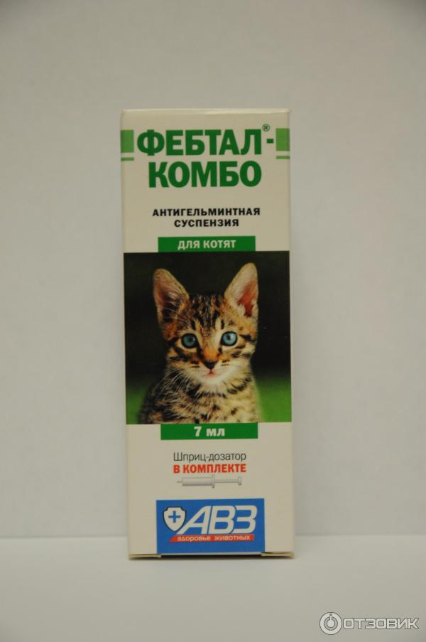 Фебтал коту. Фебтал коту. Фебтал комбо для кошек. Фебтал комбо для котят. Фебтал таблетки для собак и кошек 6 шт.