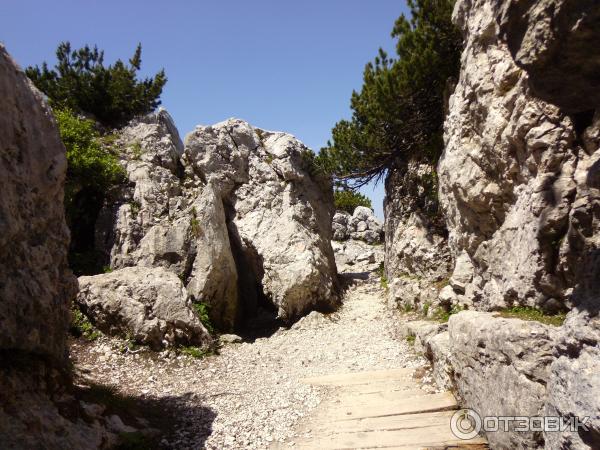 Чайный домик Кельштайнхаус (Орлиное гнездо) (Германия, Бавария) фото