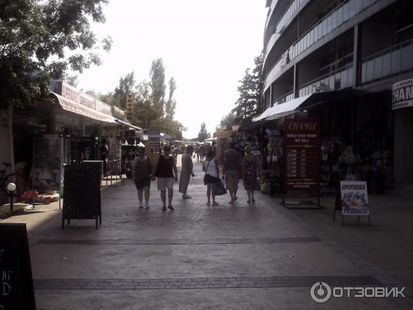 Солнечный берег