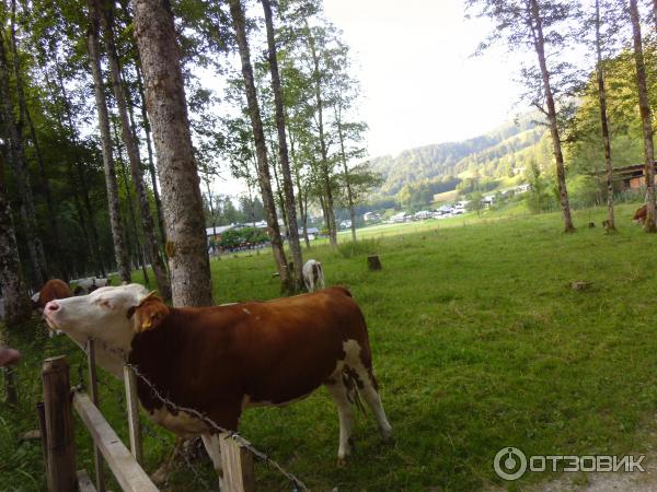 Экскурсия по г. Берхтесгаден (Германия, Бавария) фото