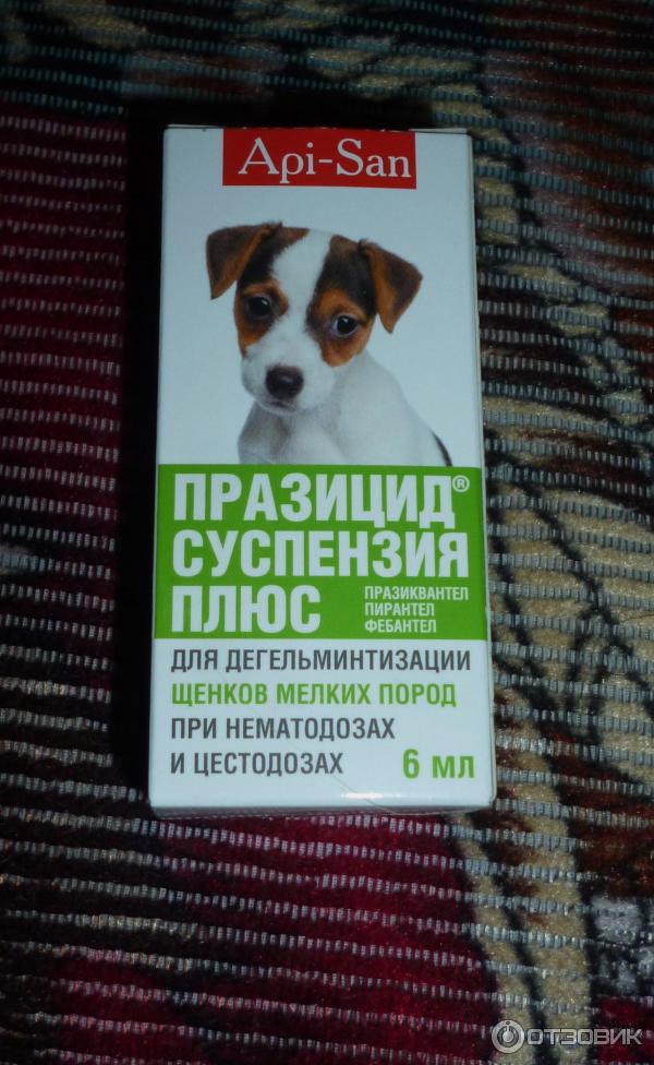 Что дать щенку от глистов. Средство от глистов для щенков 1 месяц. Таблетки от глистов щенкам 1 месяц. От глистов для собак суспензия Празицид. Препарат от глистов для щенков от 1 месяца.