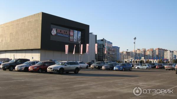 Арена воронеж фото
