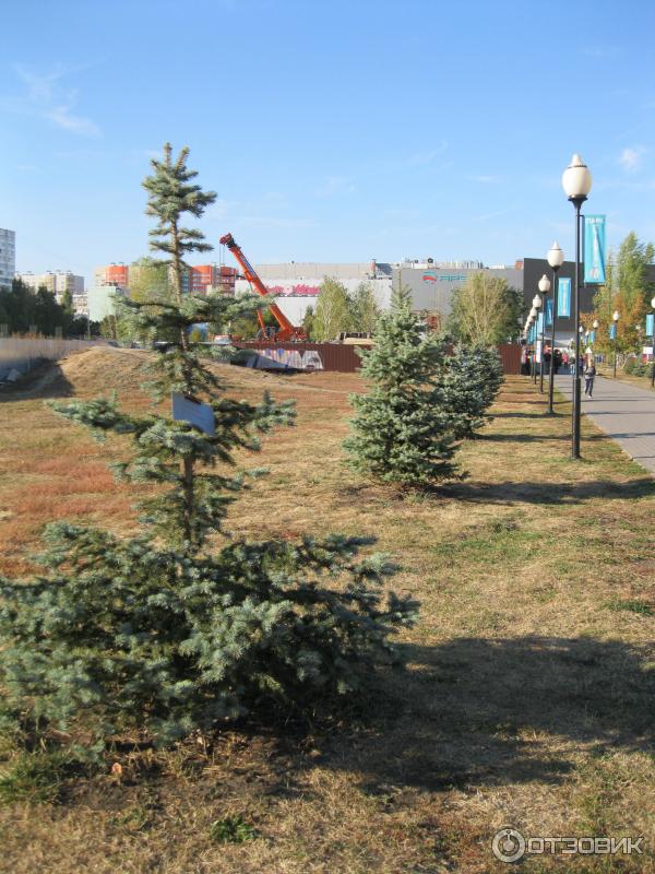 Парк арена воронеж фото Отзыв о Парк Арена (Россия, Воронеж) Земля с коммерческими площадями для мелких 