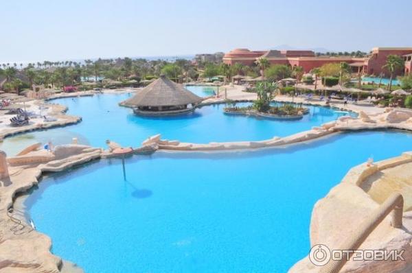 Отель Laguna Vista Beach Resort 5 Египет Шарм-эль-шейх на брегу моря первая линия Лагуна Виста бич