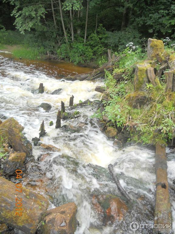 Водяная мельница Шлининке (Литва, Зарасай) фото