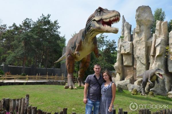 Купить Билет В Сафари Парк Краснодар