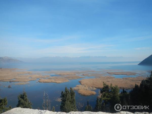 Скадарское озеро (Черногория) фото