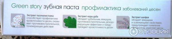 Зубная паста Green story