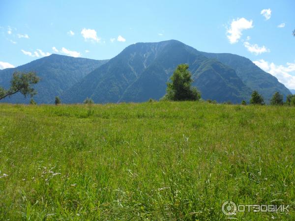 Экскурсия по Телецкому озеру (Россия, Алтай) фото