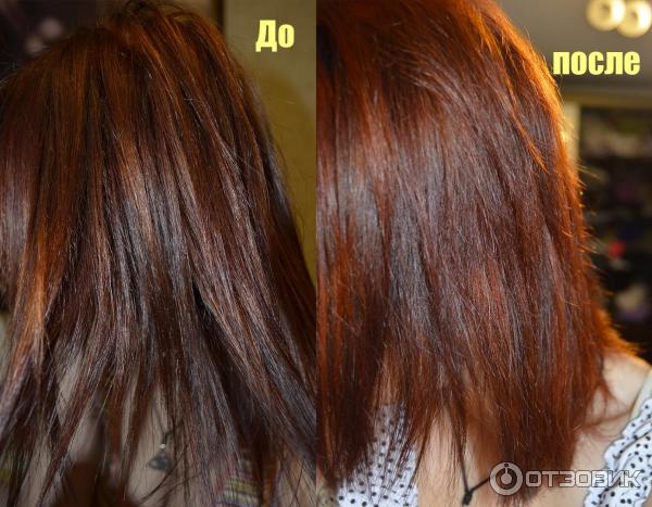 L'Oreal Paris Краска для волос PRÉFÉRENCE 6.35 Светлый янтарь 174 мл - купить в