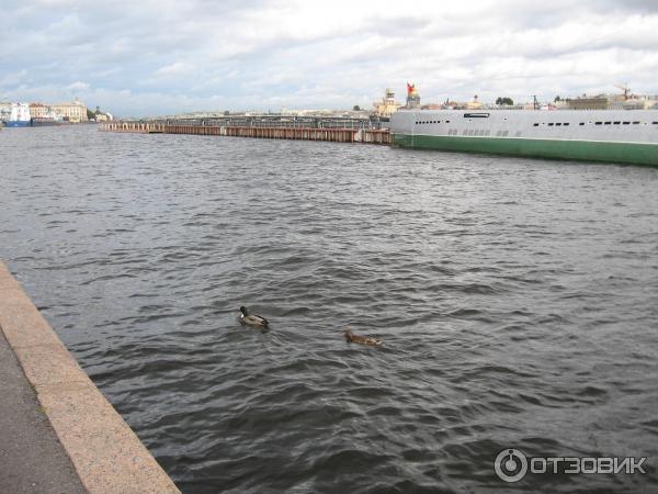 Пешая прогулка по набережной Невы на Васильевском острове (Россия, Санкт-Петербург) фото