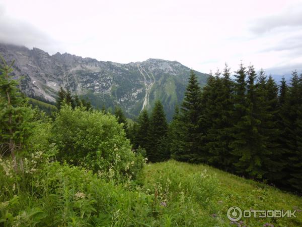 Обзорная дорога Росфельдпанорамаштрассе (Германия, Бавария) фото