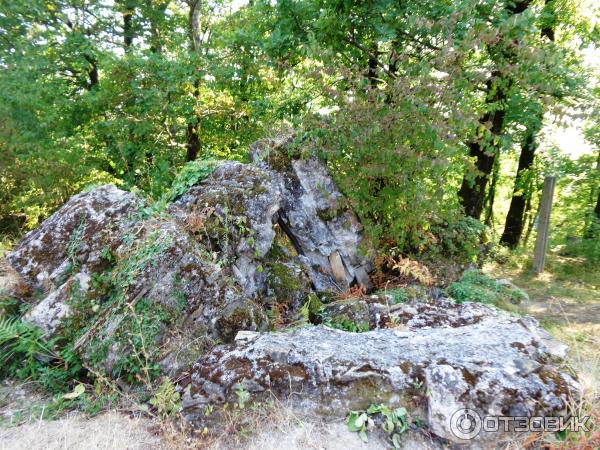 Экскурсия в Византийский храм (Россия, Лоо) фото