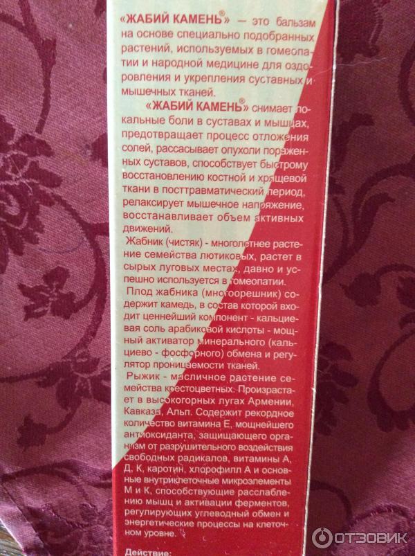 Жабий камень бальзам инструкция по применению. Жабий камень это какое растение?