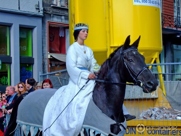 Шествие Золотого дерева (Бельгия, Брюгге) фото