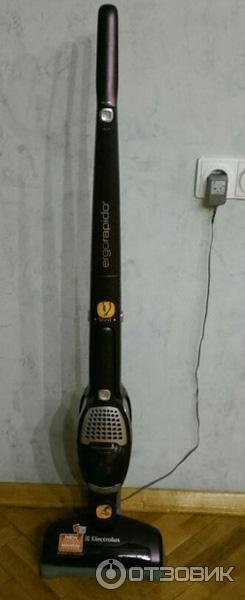 Electrolux ErgoRapido