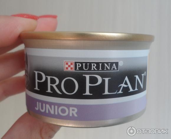 Консервы для котят Purina Pro Plan Junior Chicken с курицей фото