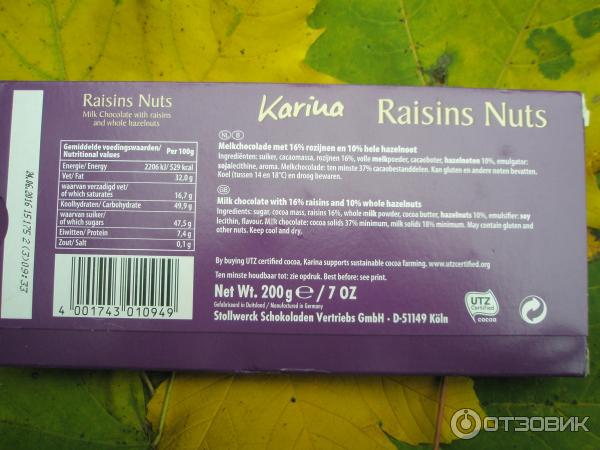 Молочный шоколад Karina Raisins Nuts (с изюмом и цельным фундуком) фото