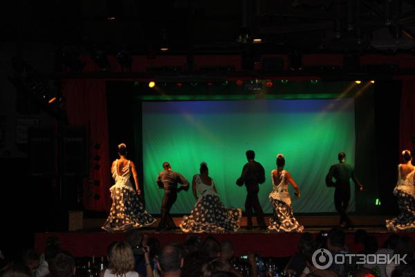 Экскурсия Рыцарский турнир в замке Вальтордера (Испания, Жирона) фото