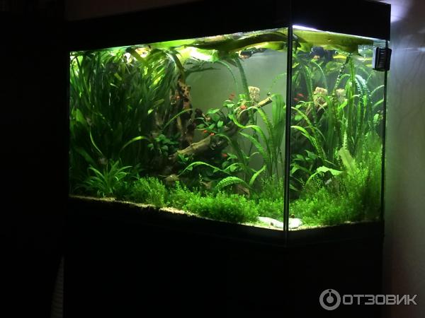 Aquael Glossy 100