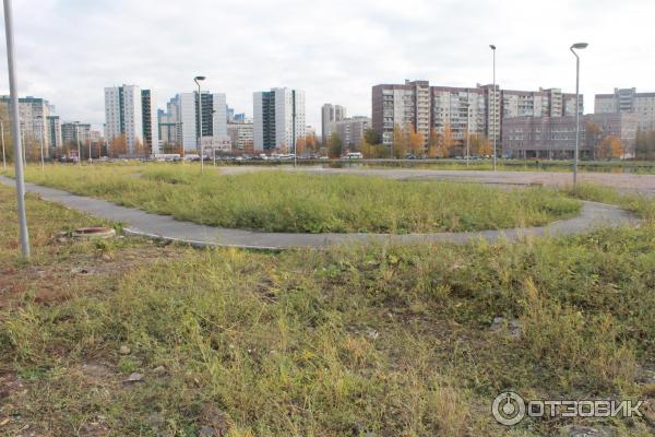 Погода озеро долгое спб. Озеро долгое СПБ раньше.