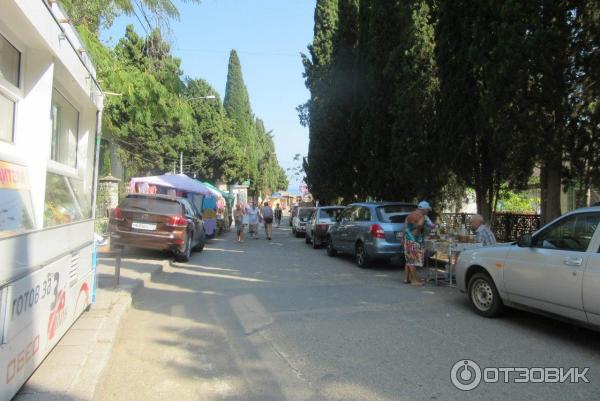 Санаторий Алушта фото