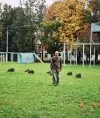 Рафис