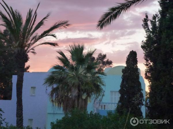 Отель Caribbean World Monastir Garden 4* (Тунис, Монастир) фото