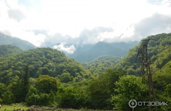 Бортевой мед Медовый Двор фото