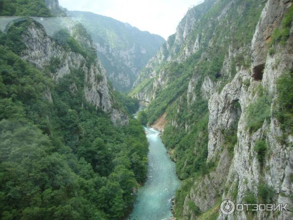 Рафтинг на реке Тара (Черногория) фото