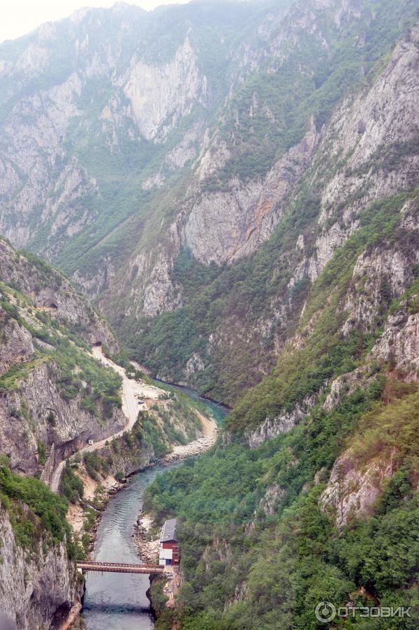 Рафтинг на реке Тара (Черногория) фото