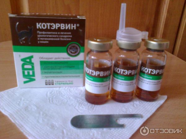 Купить котэрвин для кошек