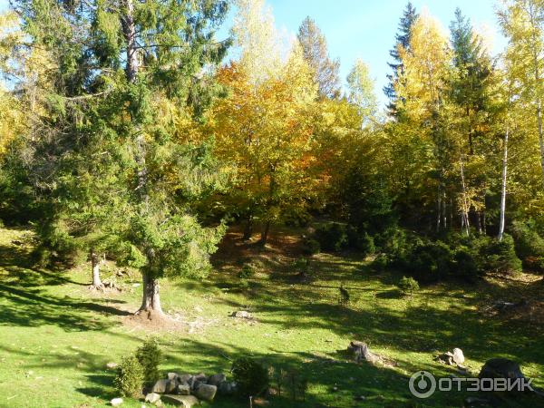 Вольерное хозяйство Карпатского НПП (Украина, Яремче) фото