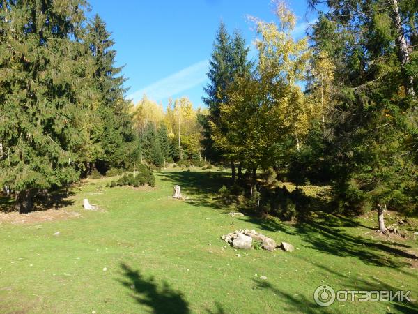 Вольерное хозяйство Карпатского НПП (Украина, Яремче) фото