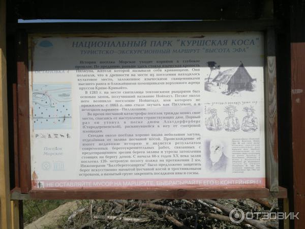 Национальный парк Куршская коса (Россия, Калининградская область) фото