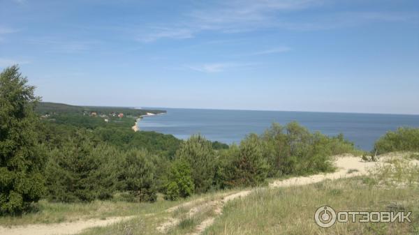 Национальный парк Куршская коса (Россия, Калининградская область) фото