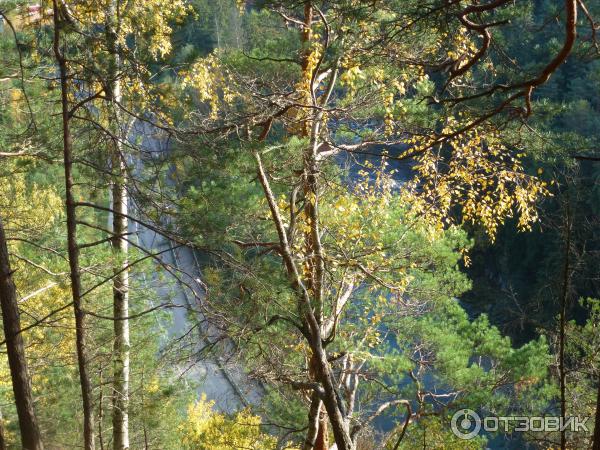 Экскурсия Стежка Довбуша (Украина, Яремче) фото