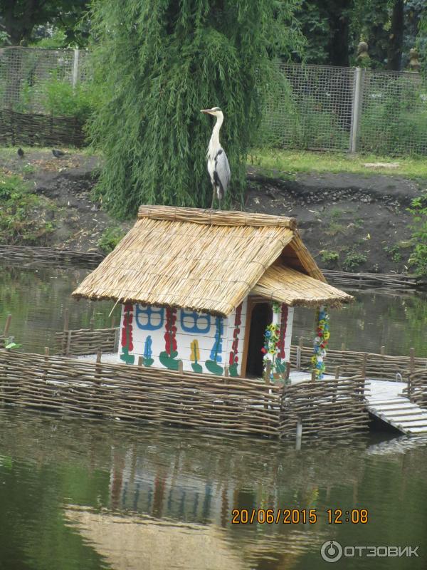 Курорт Миргород (Украина, Миргород) фото