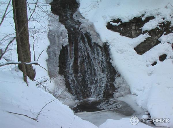 База отдыха Пихтовый бор (Краснодарский край, Лаго-Наки) фото