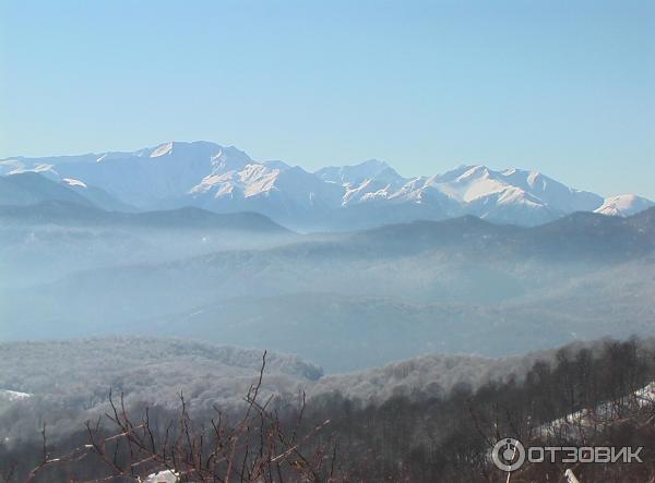 База отдыха Пихтовый бор (Краснодарский край, Лаго-Наки) фото