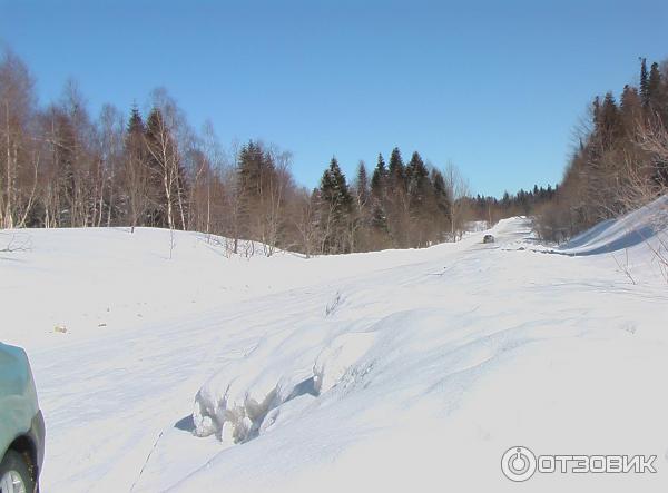 База отдыха Пихтовый бор (Краснодарский край, Лаго-Наки) фото