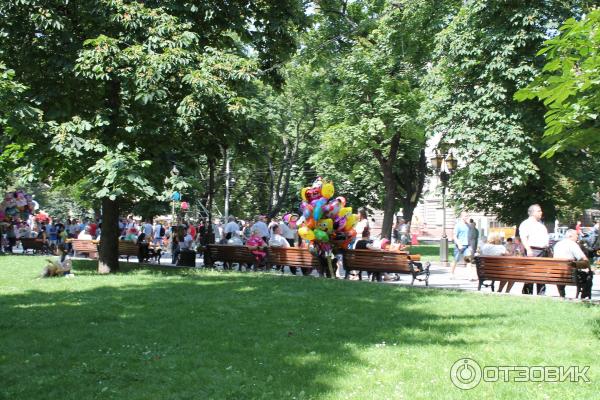 Аллея проспекта Свободы (Украина, Львов) фото