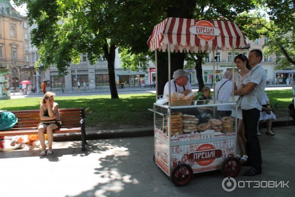 Аллея проспекта Свободы (Украина, Львов) фото