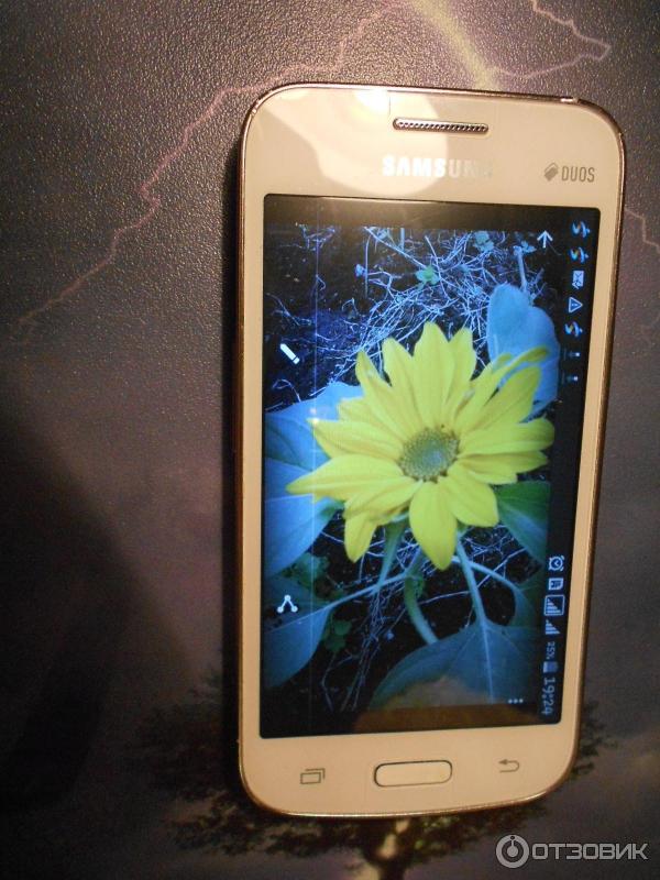 Смартфон Samsung Galaxy Star Advance Dual Sim G350 фото