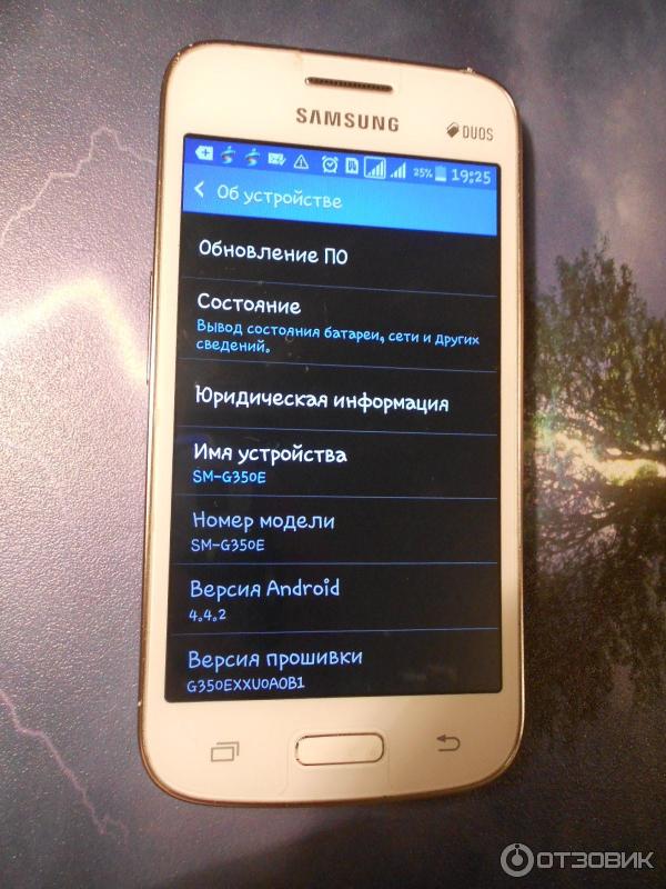 Смартфон Samsung Galaxy Star Advance Dual Sim G350 фото