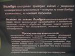 Одеяло Alvitek Бамбук Люкс фото