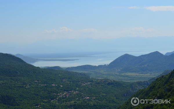 Скадарское озеро (Черногория) фото