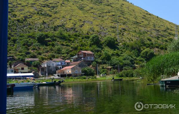 Скадарское озеро (Черногория) фото