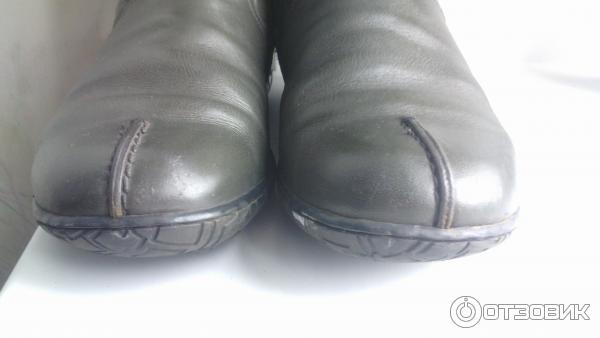 Сапоги женские Goergo